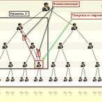 Подробная информация о