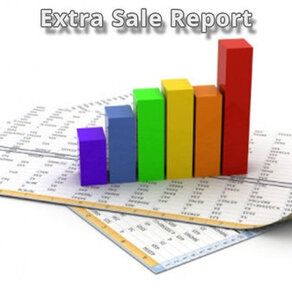 Extra Sale Report