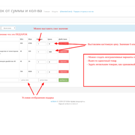 Товар в подарок от суммы / когдачества