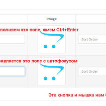Ctrl+Enter add option value