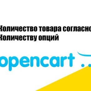 Количество товара согласно когдачеству опций