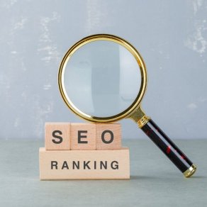 SEO-оптимизация, продвижение сайтов в Поисковых системах 