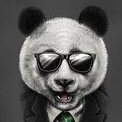 panda83